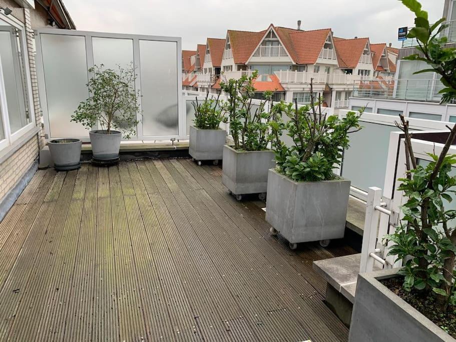 Zoute Penthouse Leilighet Knokke-Heist Eksteriør bilde